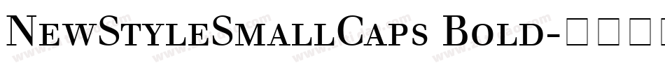 NewStyleSmallCaps Bold字体转换